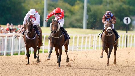 southwell racecourse events|Southwell Racecourse, Nottingham Events & Tickets 2021 .